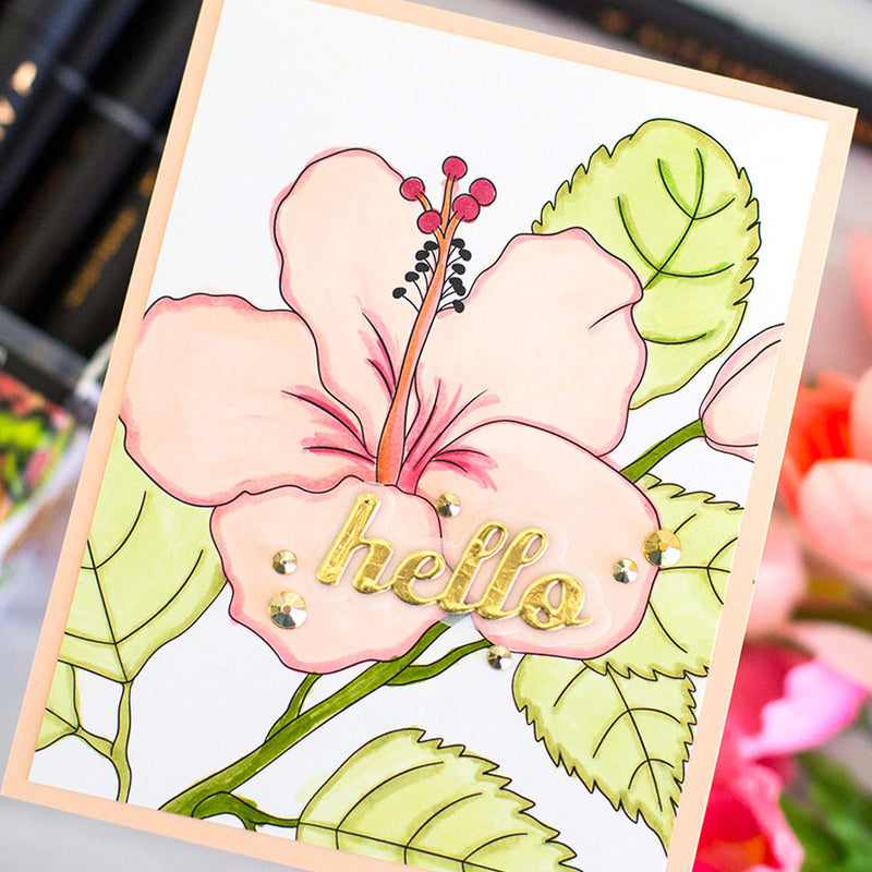 Create with Confidence: Alcohol Marker Edition