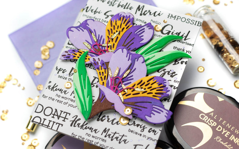 Break Out Your Sentiment Stamps! 1 Stamp Set, So Many Possibilities!