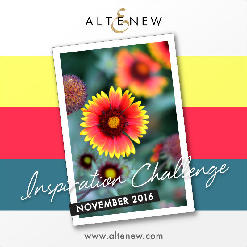 November 2016 Inspiration Challenge