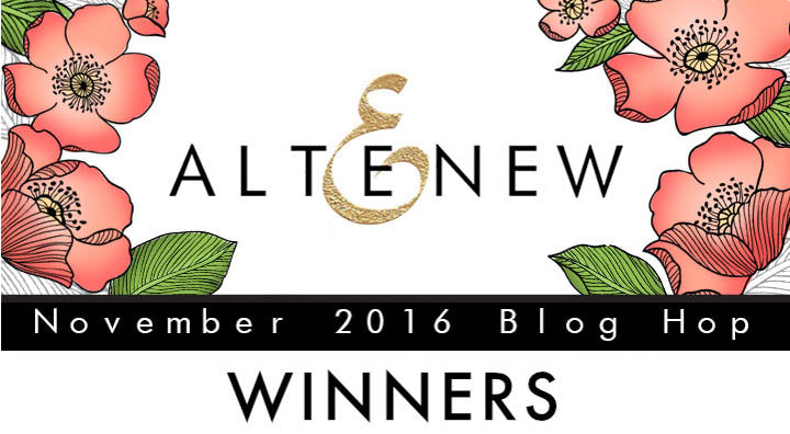 November 2016 Release Blog Hop Winners