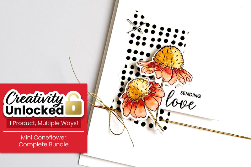 Creativity Unlocked Feat. Mini Coneflower Bundle | A Simple and Lovely CAS Card