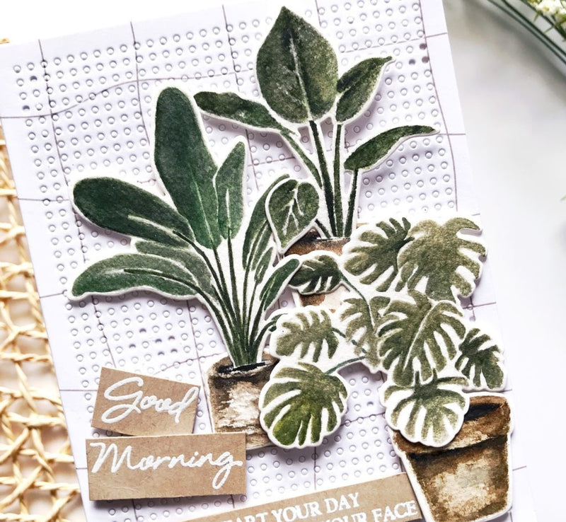 No-Line Watercoloring with Potted Plants Stamp Set