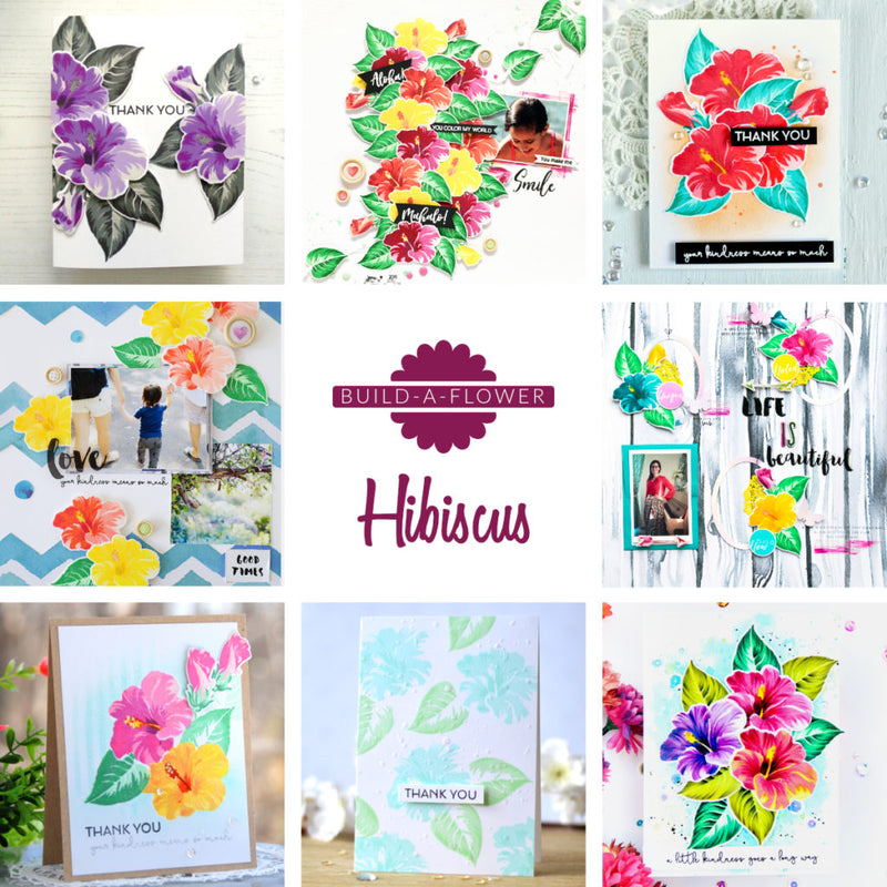 Build-A-Flower: Hibiscus Release Giveaway Winners