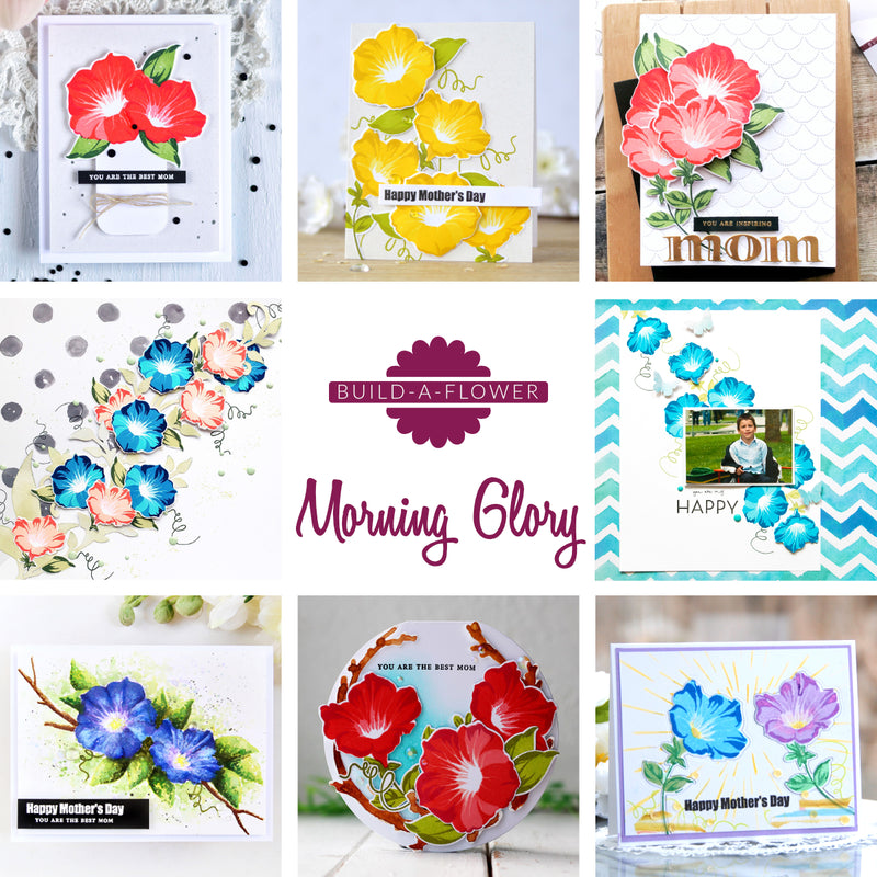 Build-A-Flower: Morning Glory Release Giveaway Winners