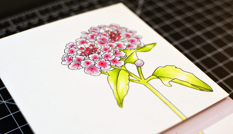 Refresh Your Alcohol Markers Blog Hop + Giveaway