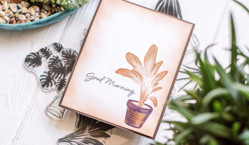Stamp Focus: Potted Plants Stamp Set