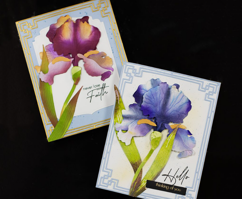 2 Gorgeous Bearded Iris Cards for Any Occasion!