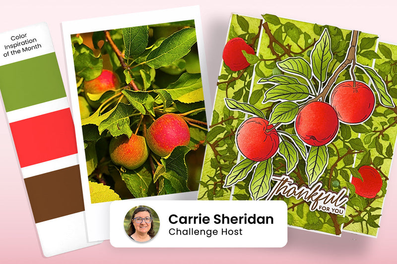 September 2026 Inspiration Challenge