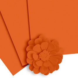Crafty Necessities: Orange Cream Cardstock (10 sheets/set) - Altenew
