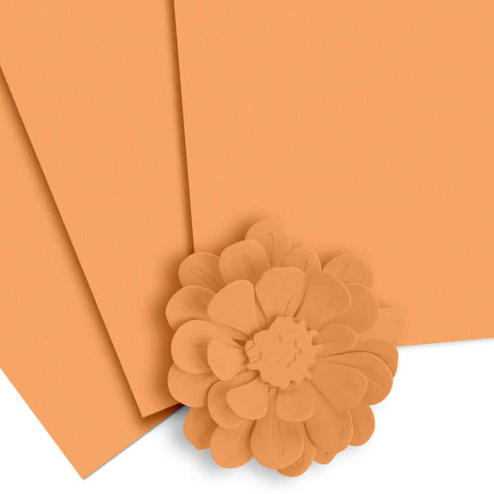 Crafty Necessities: Chamomile Cardstock (10 sheets/set) - Altenew
