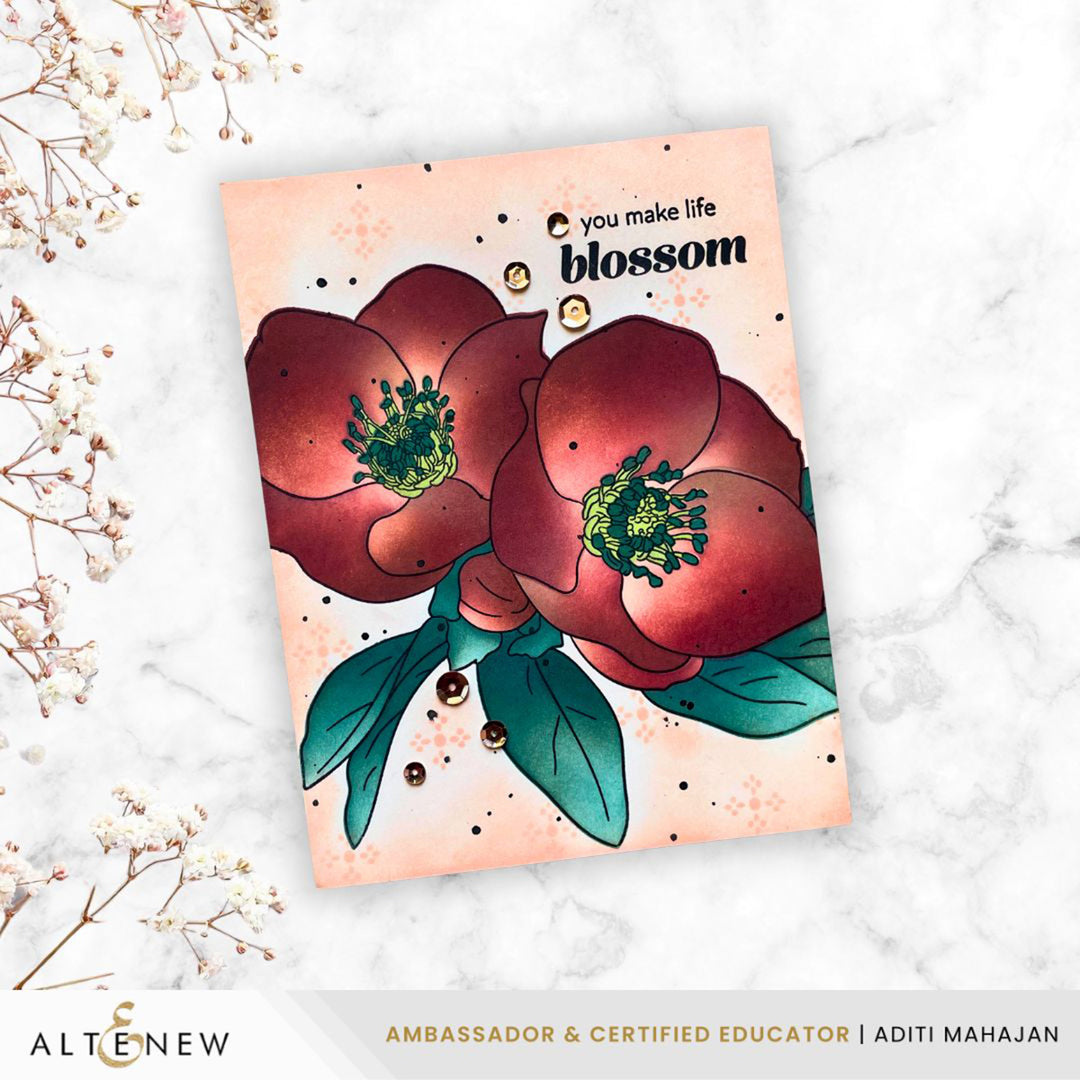 February 2026 Full Release Bundle - Altenew