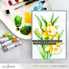 Palette Perfection Artists' Watercolor Tube Bundle - Altenew