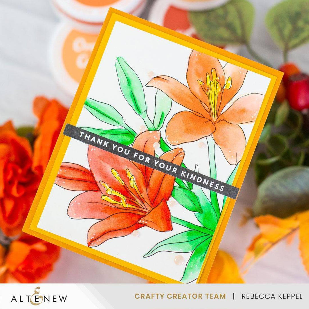Artist Alcohol Markers Set D & Botanical Elegance Alcohol Marker Coloring Sheets Bundle