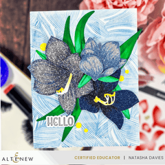 July 2024 Betterpress Plates Release Bundle