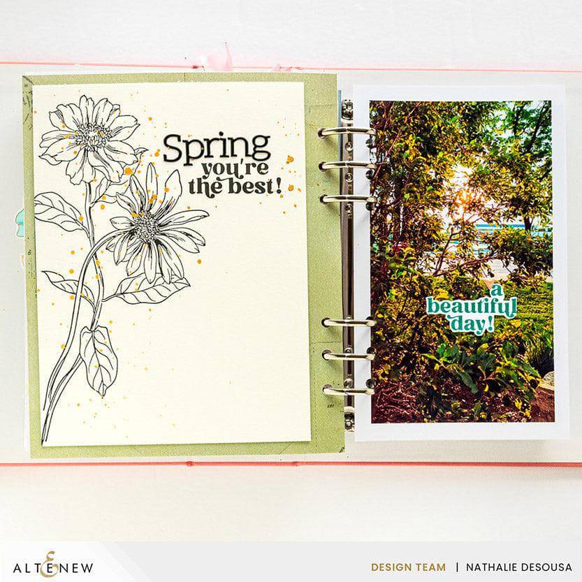 Spellbinders Betterpress Plates Classical Sentiments Press Plates