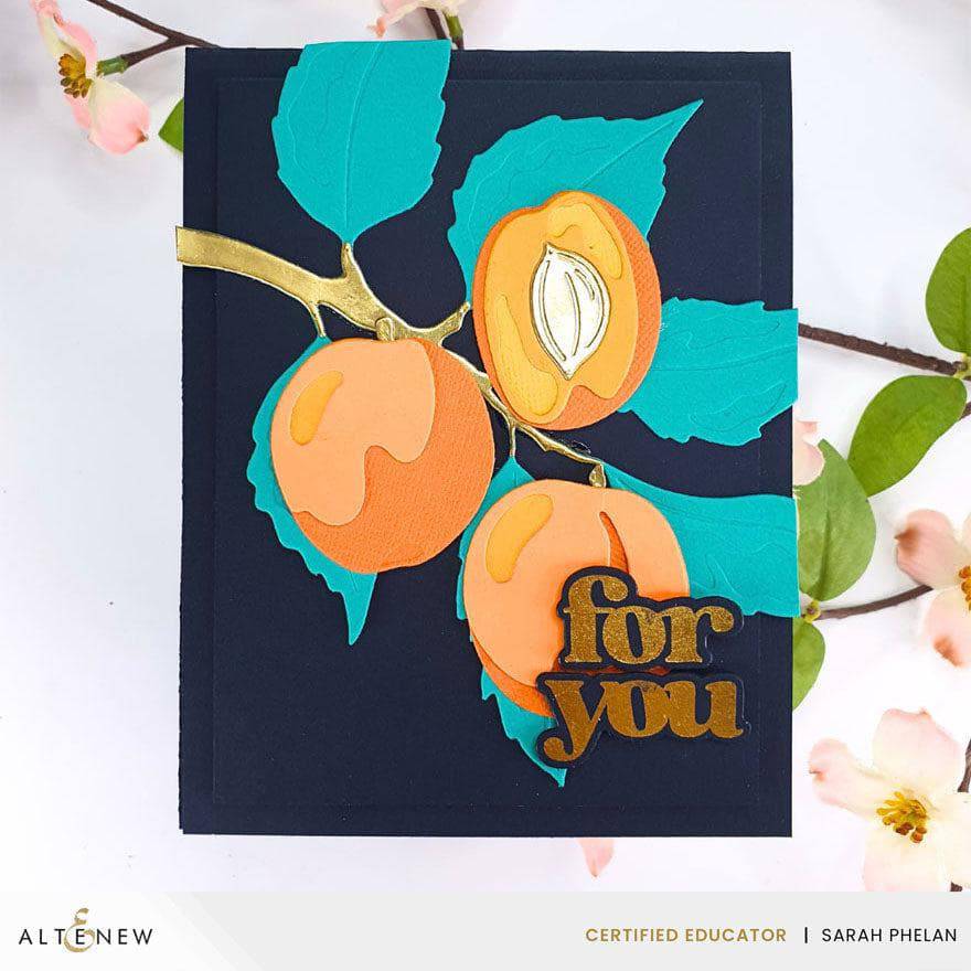 Versatile Greetings 3 Press Plates (Comfort Edition)