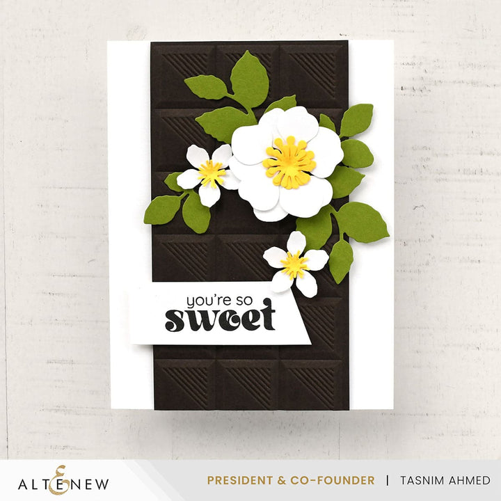 The Ultimate Cardstock Sampler Pack