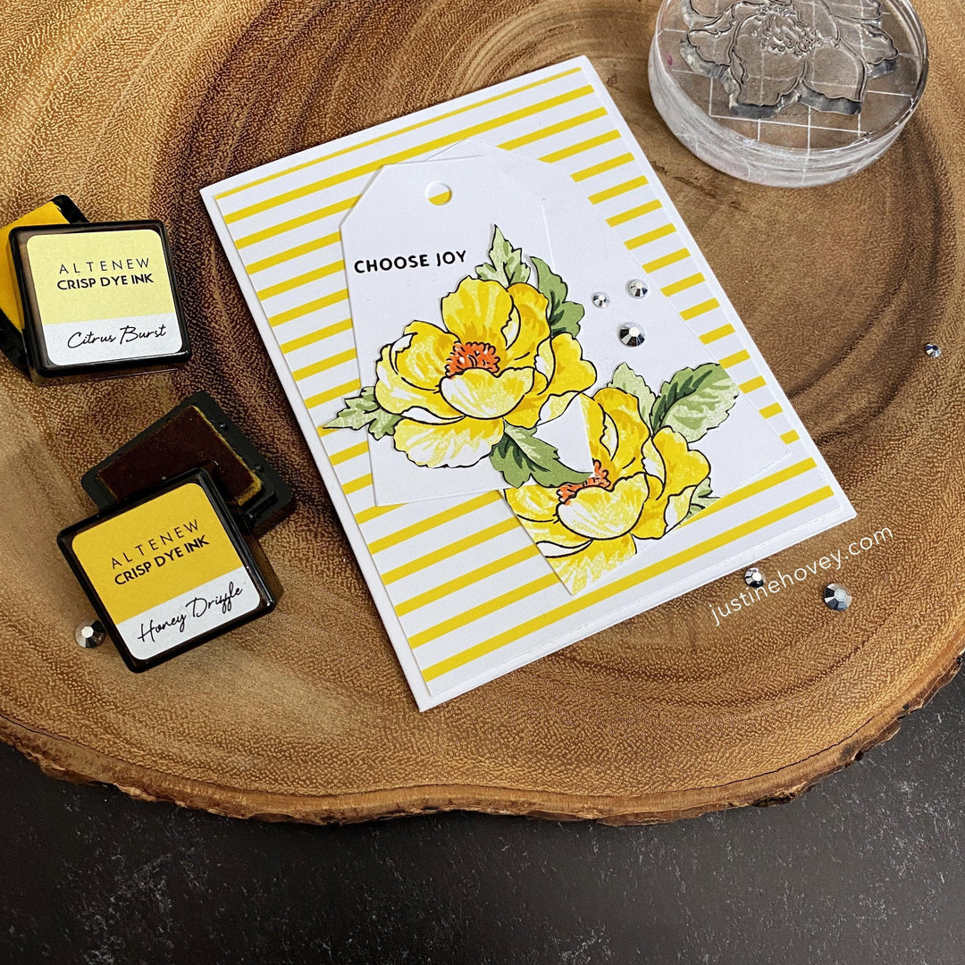 Altenew Creativity Kit Featurette Multi-Masking On A One Layer Card Class