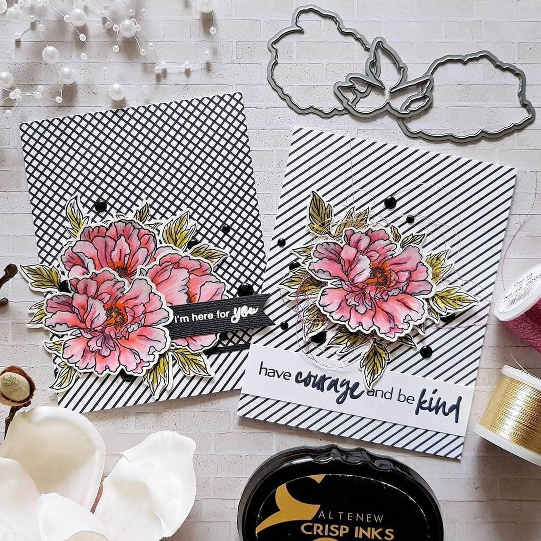 Photocentric Clear Stamps Better Together Stamp Set