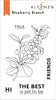 Photocentric Clear Stamps Blueberry Branch Stamp Set