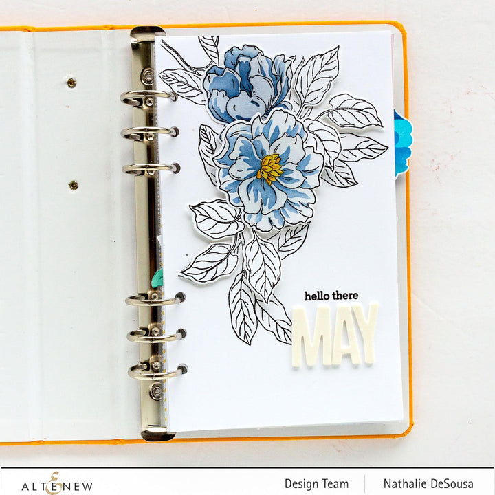 Photocentric Clear Stamps Botanical Illustrations Stamp Set