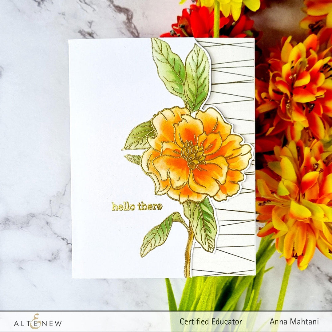 Photocentric Clear Stamps Botanical Illustrations Stamp Set
