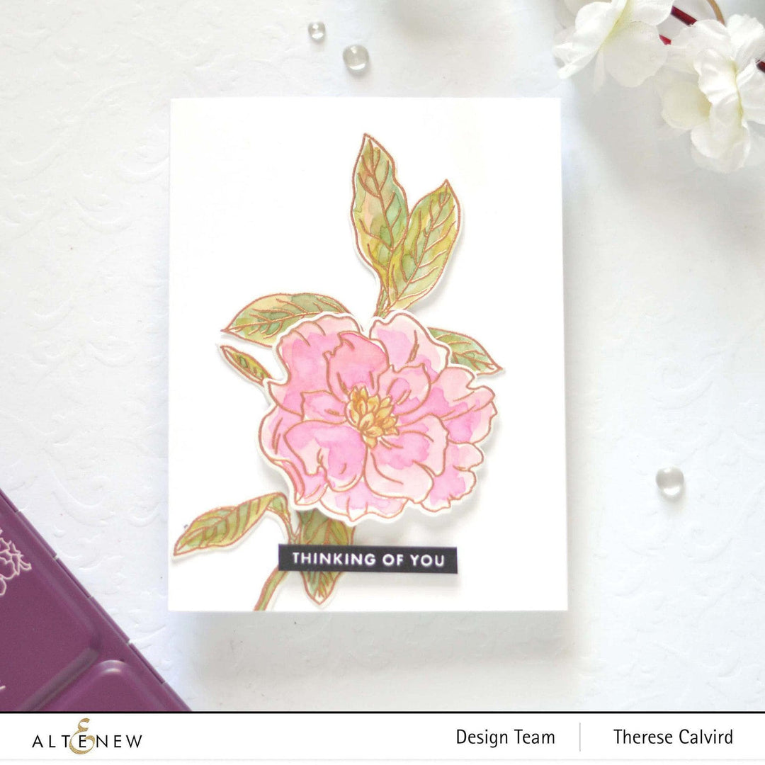 Photocentric Clear Stamps Botanical Illustrations Stamp Set