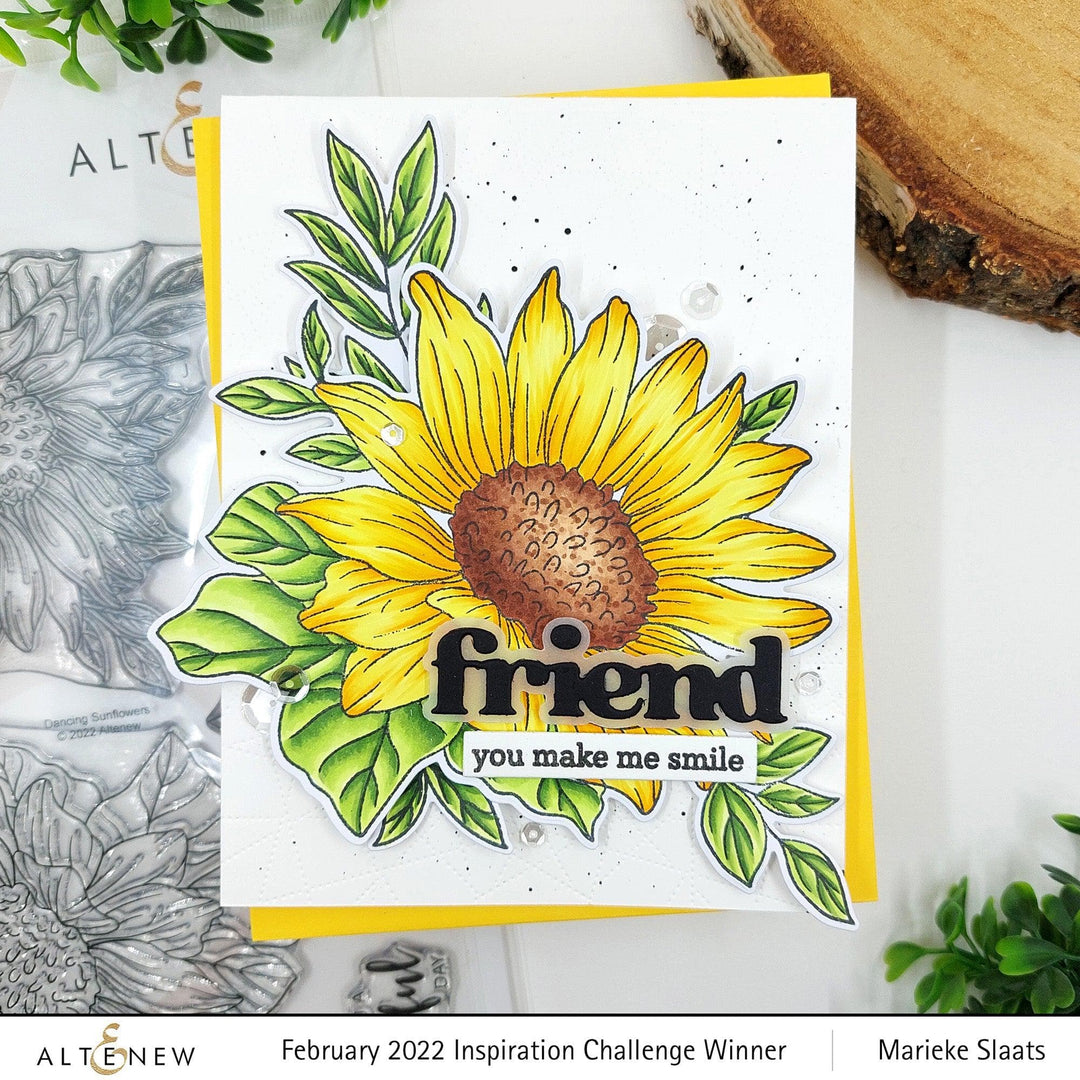 Photocentric Clear Stamps Botanical Illustrations Stamp Set
