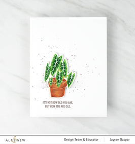 Photocentric Clear Stamps Elegant Alocasia Stamp Set