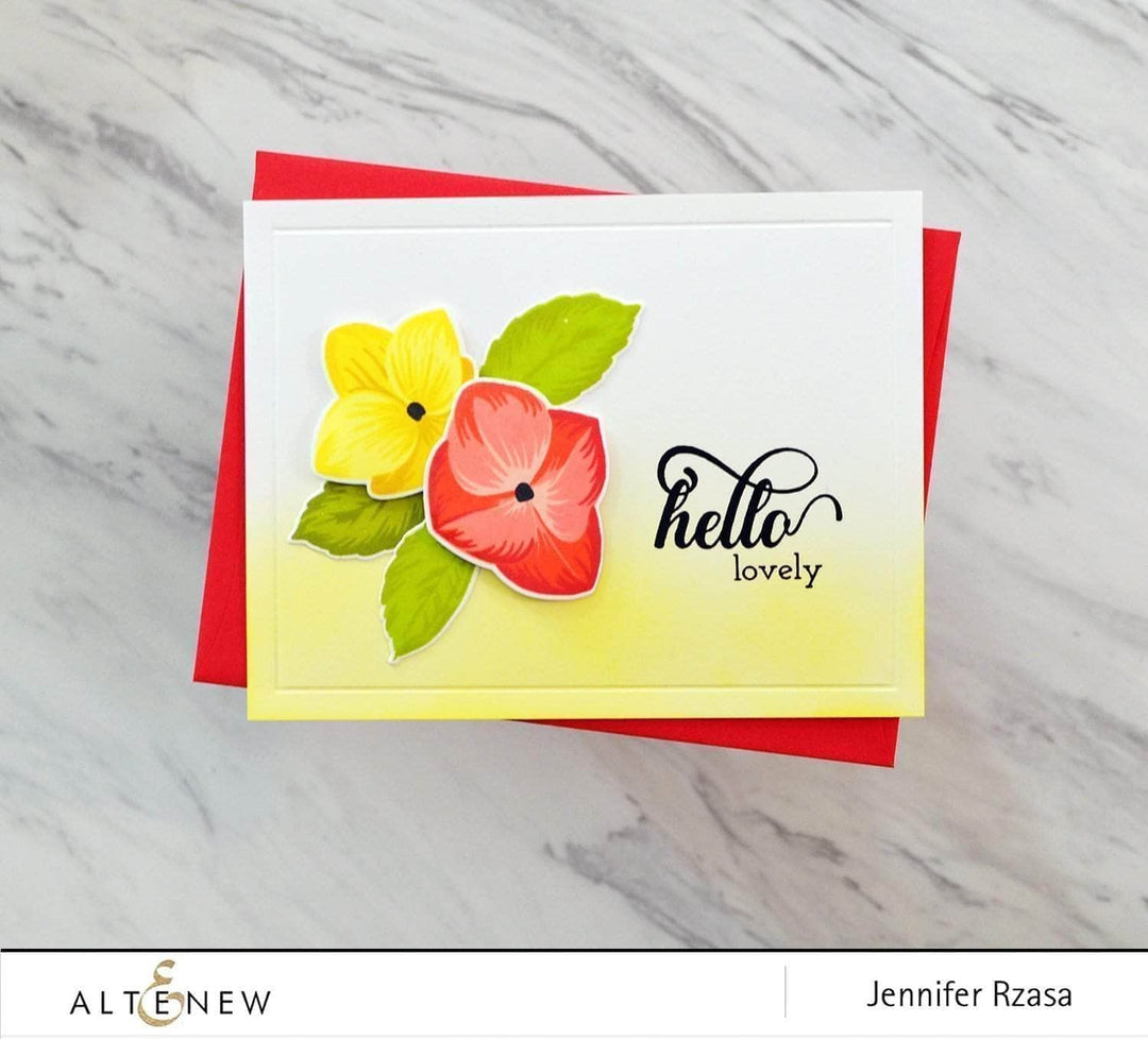Photocentric Clear Stamps Fancy Greetings Stamp Set