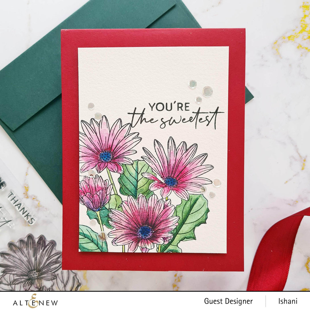 Photocentric Clear Stamps Paint-A-Flower: African Daisy Outline Stamp Set
