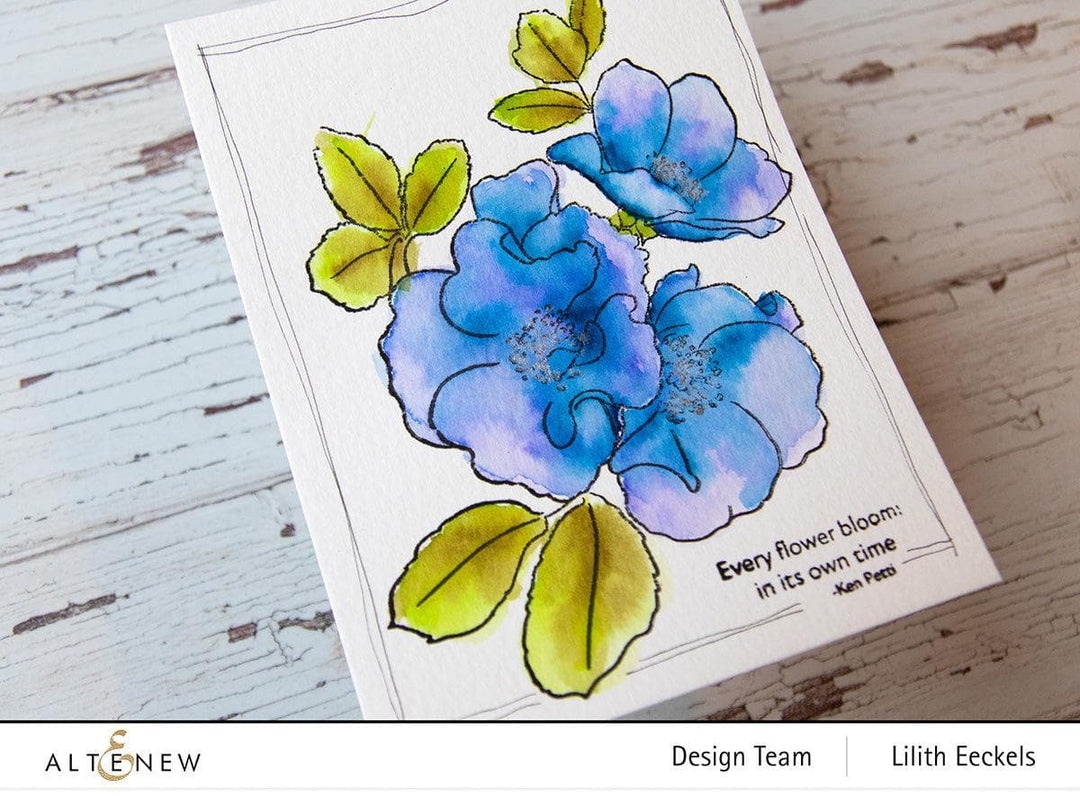 PMA Industries, Inc. Clear Stamps Paint-A-Flower: Carefree Delight Outline Stamp Set