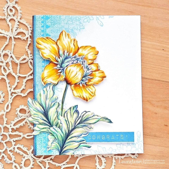 Photocentric Clear Stamps Rustic Linen Stamp Set