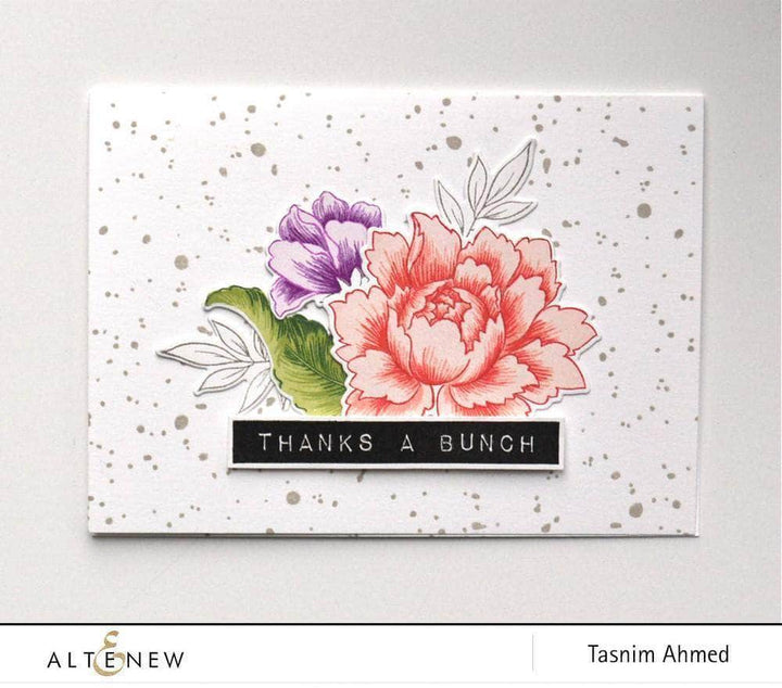 Photocentric Clear Stamps Snowing Stamp Set