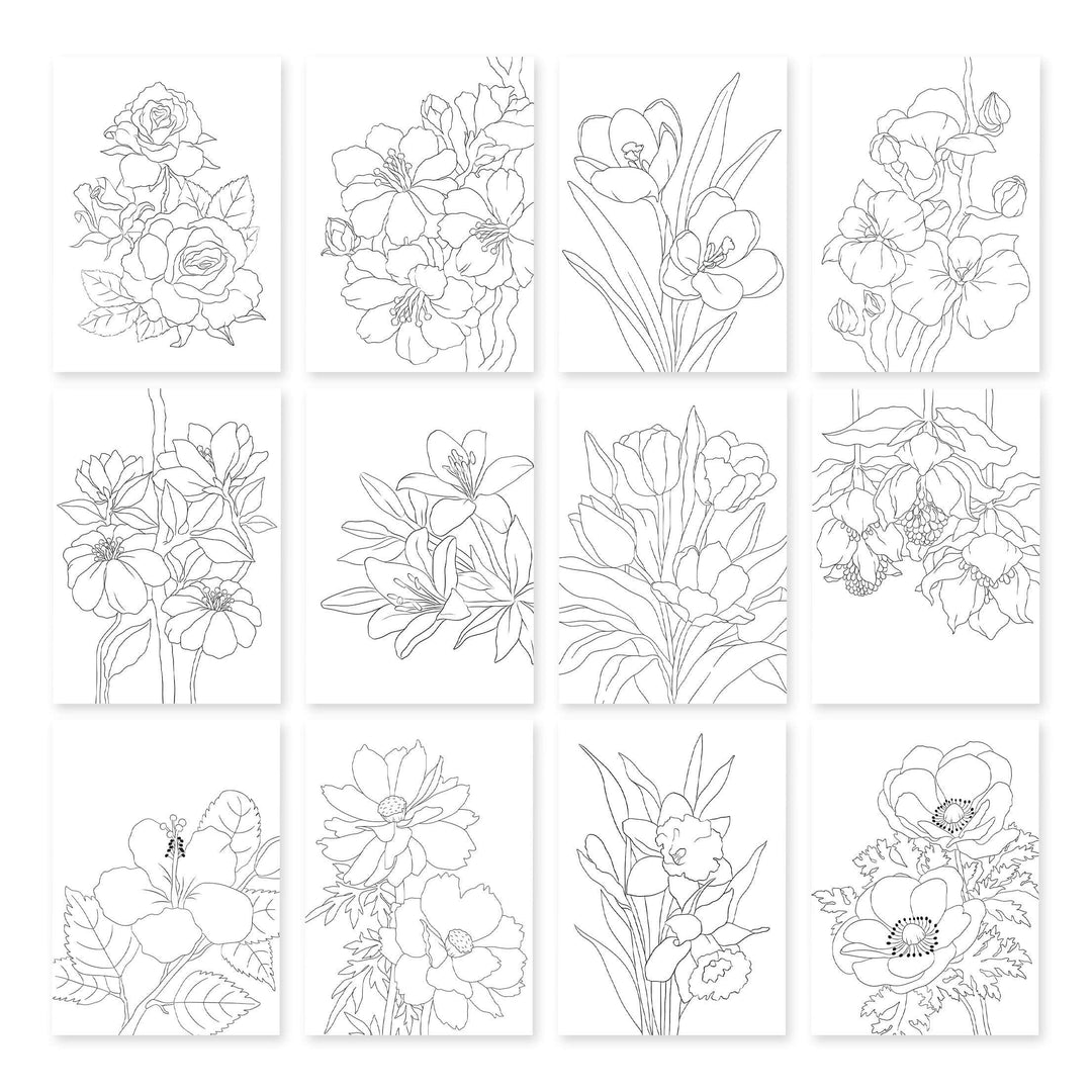 Botanical Elegance: Capture the Colors of Nature Alcohol Marker Coloring Sheets