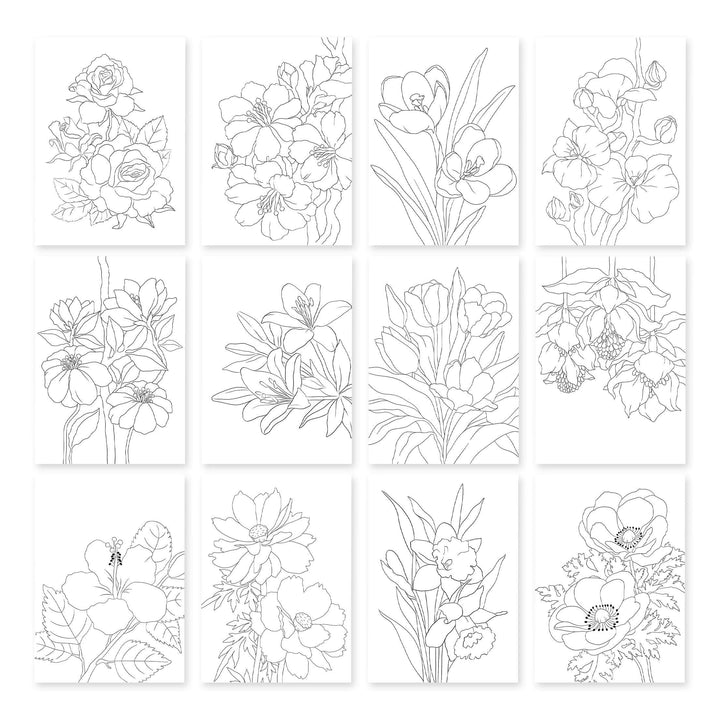 Botanical Elegance: Capture the Colors of Nature Alcohol Marker Coloring Sheets
