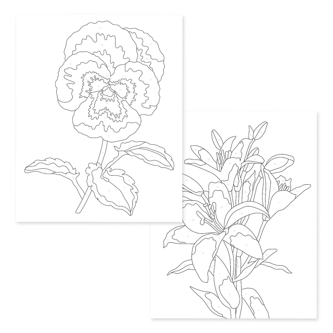 Paint-by-Number: Instant Artist - Artistic Blooms (4 Sheets)
