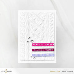Solid Sentiments Complete Bundle