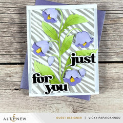 Versatile Greetings 3 Comfort Edition
