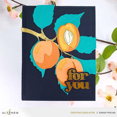 Versatile Greetings 3 Comfort Edition