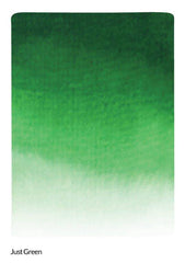 Just Green Liquid Watercolor - Brush Marker Refill