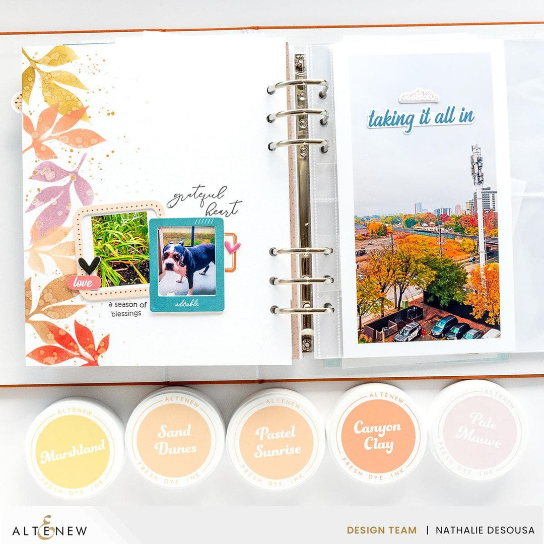 Kaleidoscope of Colors Fresh Dye Ink Mini Cube & Re-inker Bundle