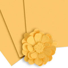 Crafty Necessities Cardstock Bundle