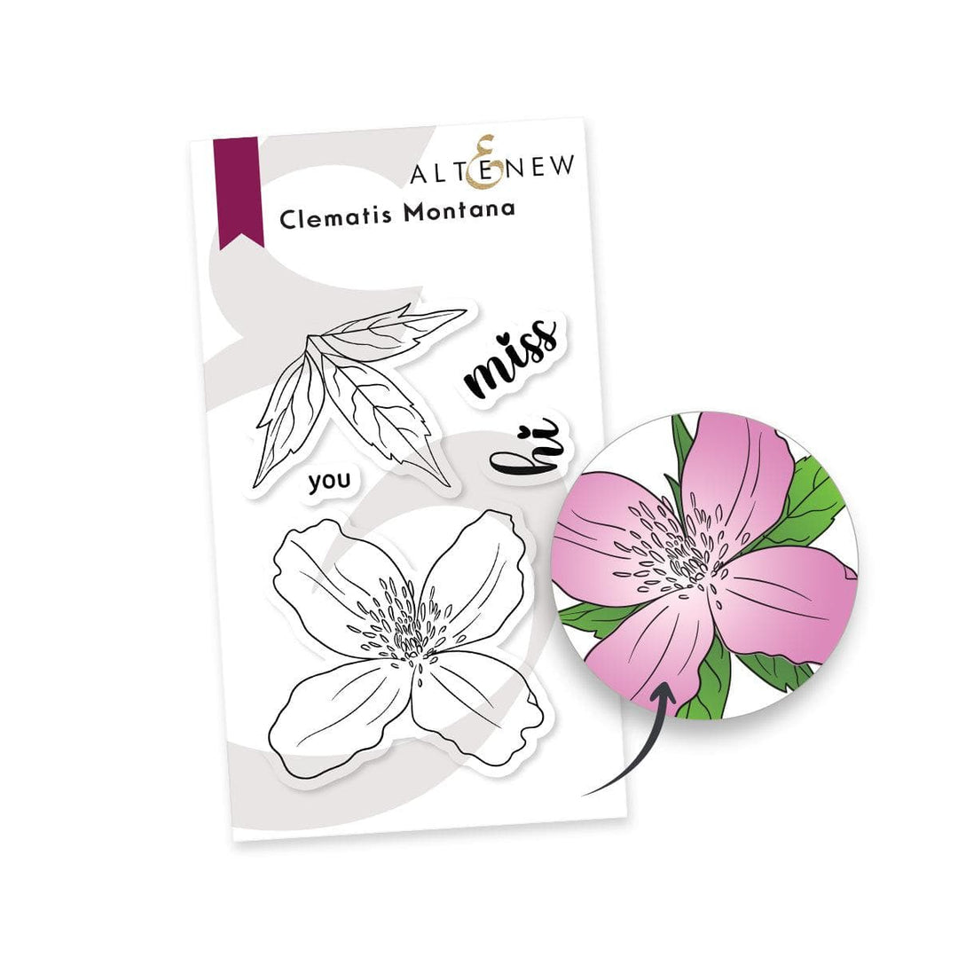Clematis Montana