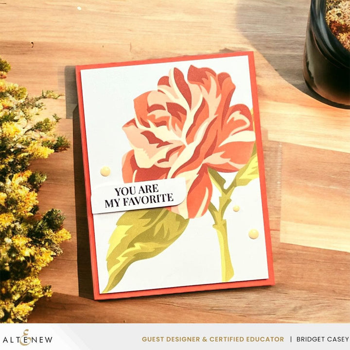 One-Go Sentiments Bundle