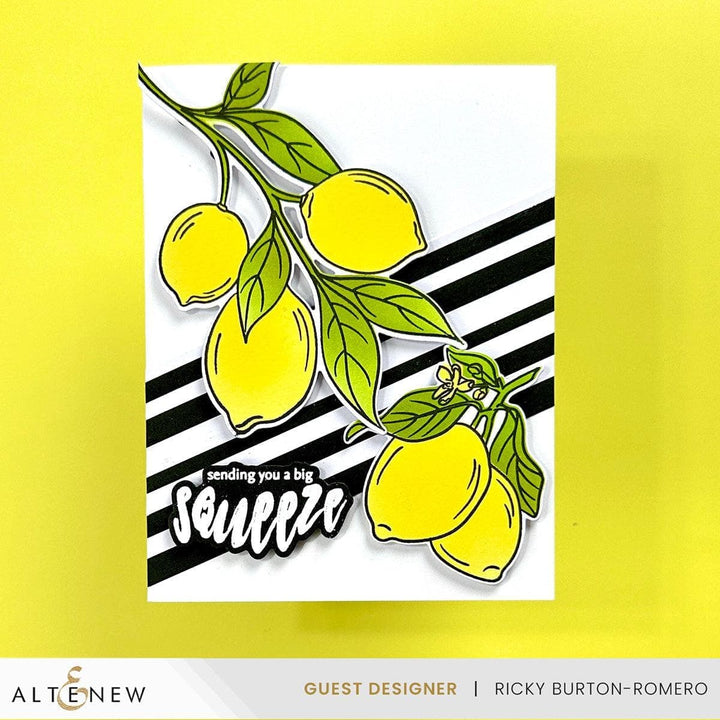 Altenew Stamp & Die & Stencil Bundle Zesty Life