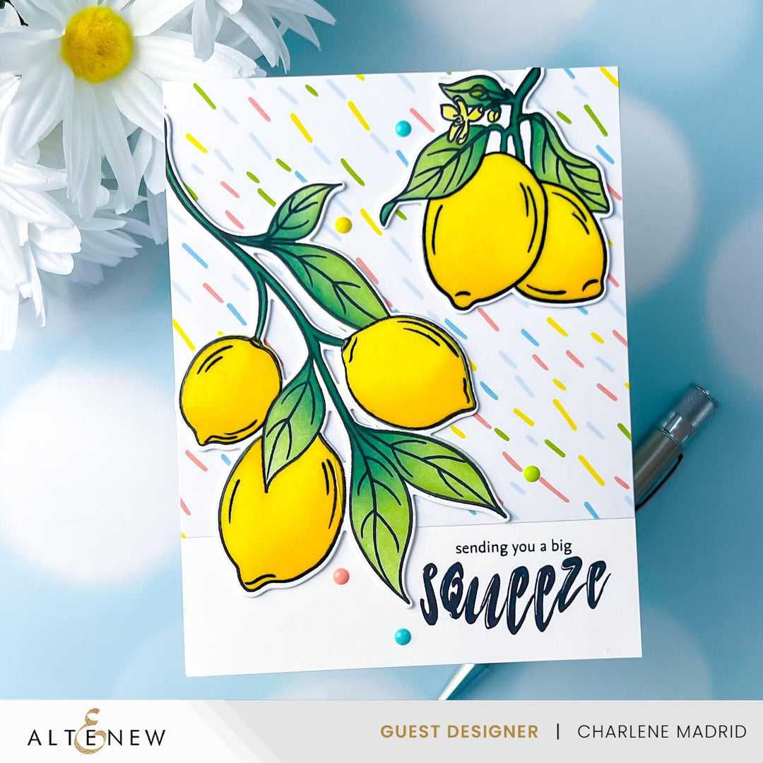 Altenew Stamp & Die & Stencil Bundle Zesty Life
