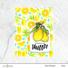 Altenew Stamp & Die & Stencil Bundle Zesty Life