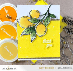 Altenew Stamp & Die & Stencil Bundle Zesty Life