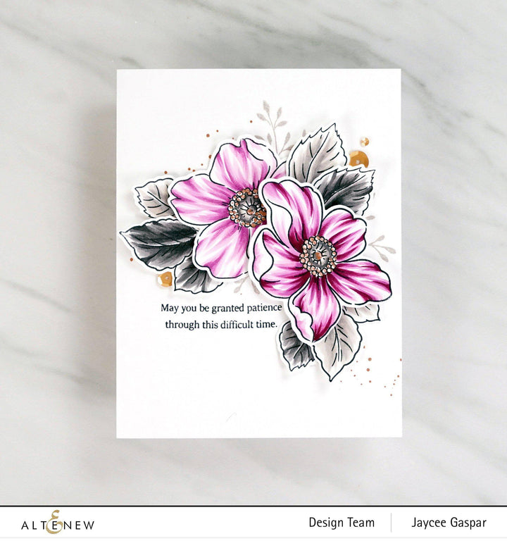 Photocentric Stencil Beauty Within Simple Coloring Stencil Set